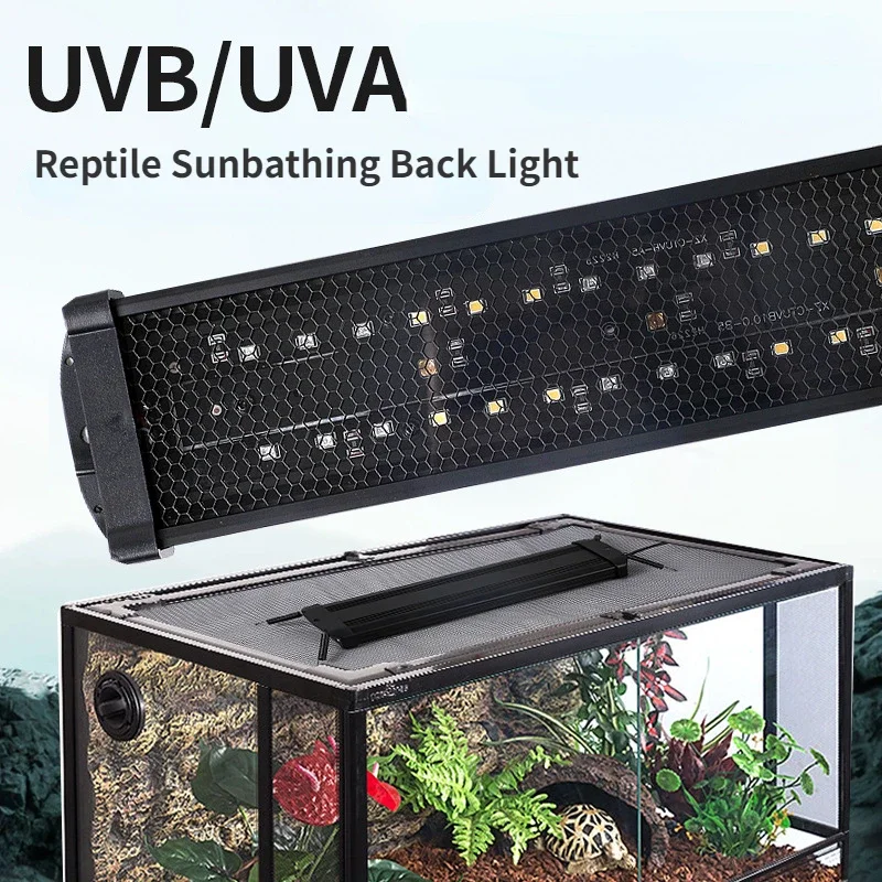 Reptile UVA+UVB Full Spectrum  - огляд і ціна Calcium Powder Reptile