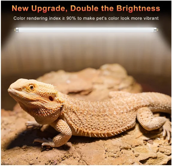 2 Pack 8W T5 UVB 10.0 Reptile  - огляд і ціна Vitamin D3 Reptile
